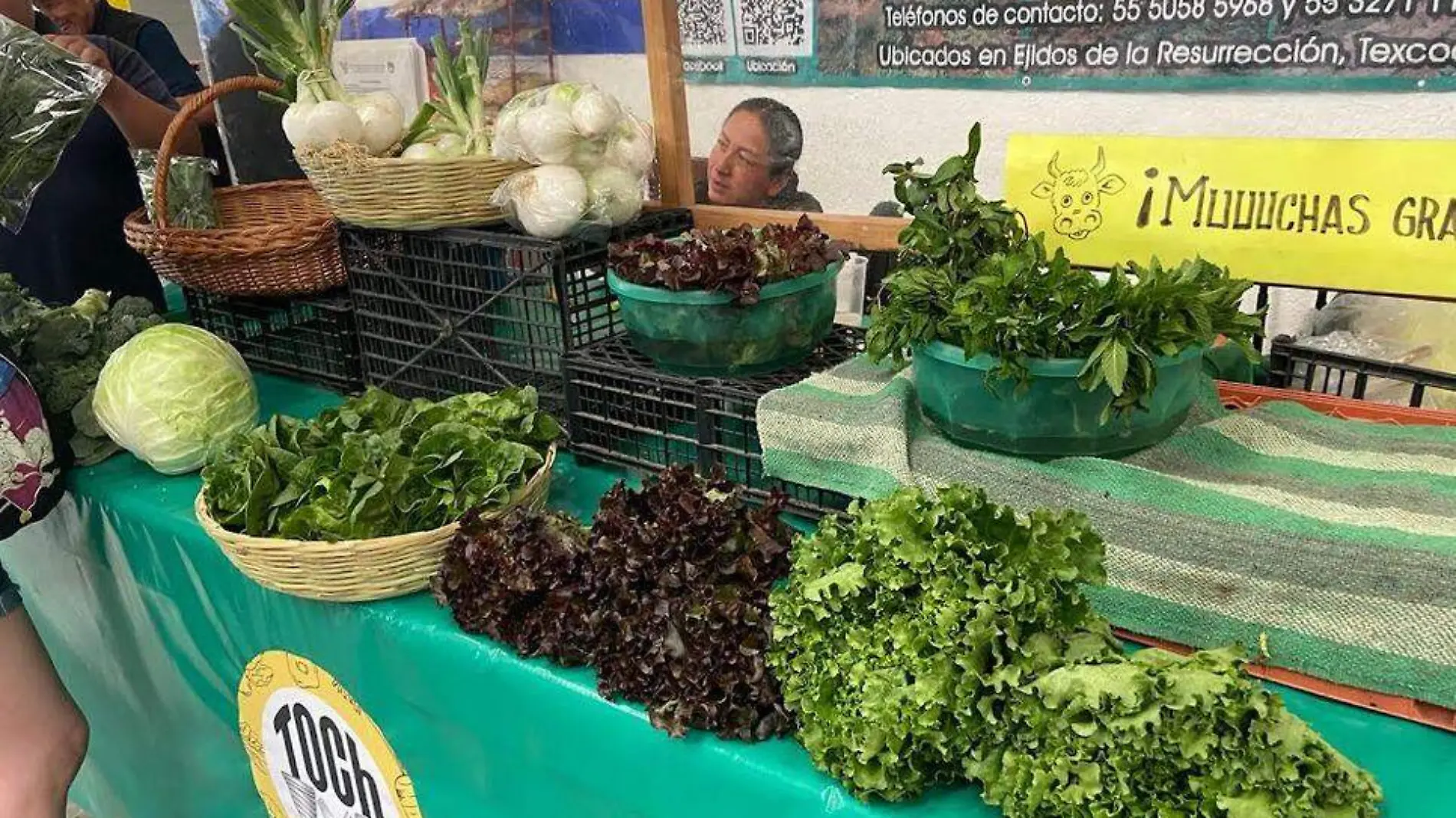 tianguis orgánico